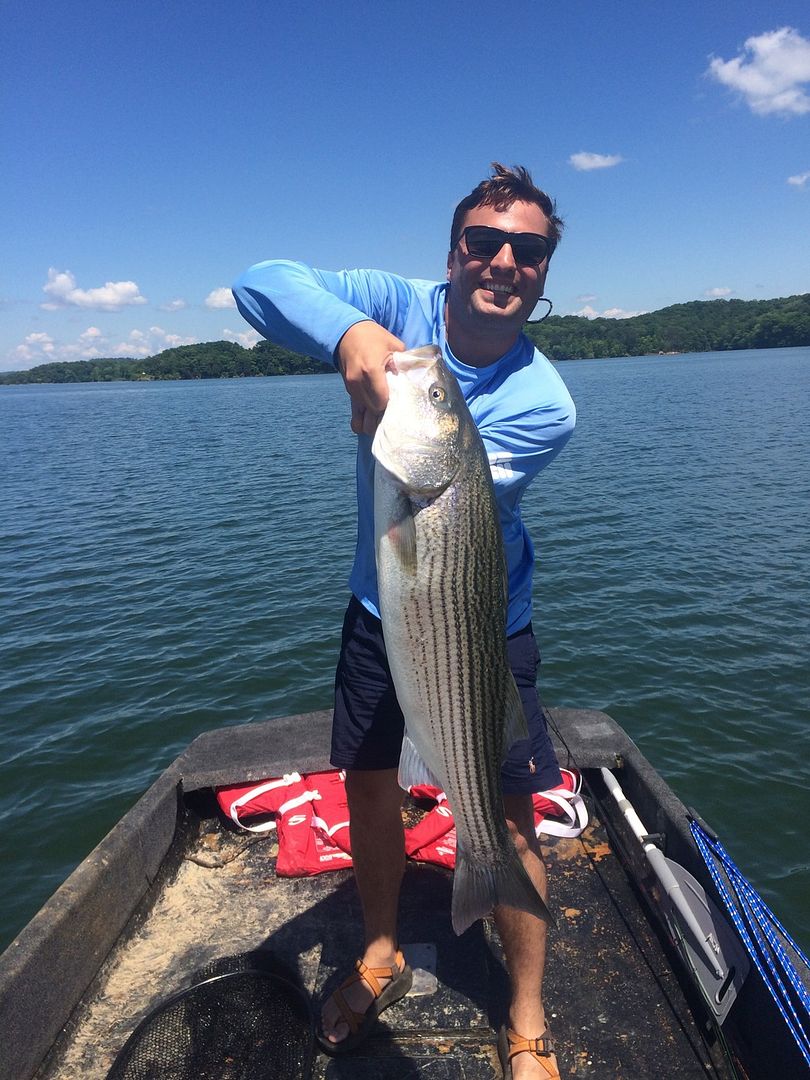 Learning. The Spoonpluggers Forum